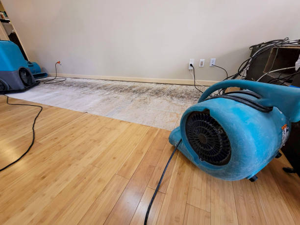 Professional Burst Pipe Water Damage technician working in Williamsburg, OH